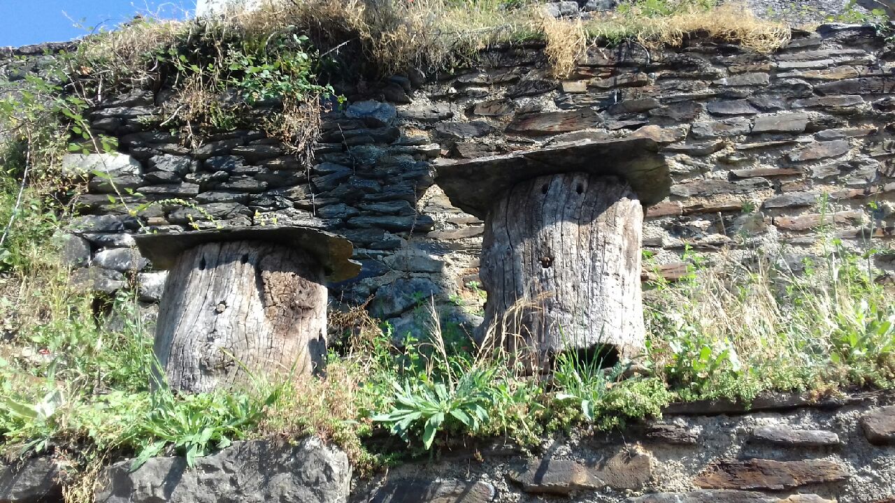 Ruches très originales