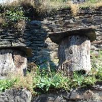 Ruches très originales