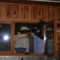 Essaim à la cabane de chasse à Hotonnes 3