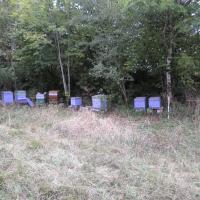 Le rucher à Hotonnes