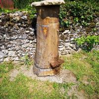 Ruche tronc