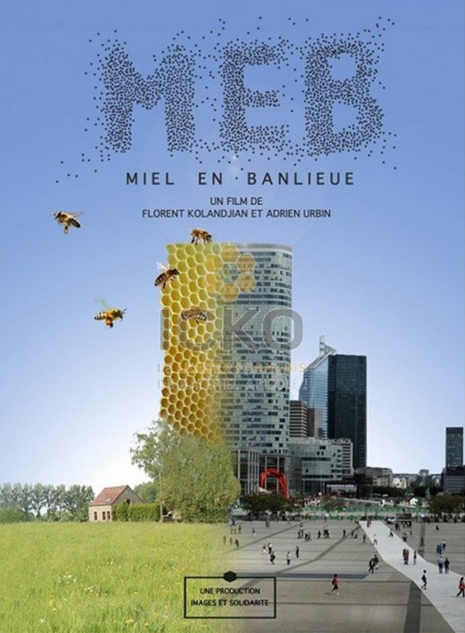 Dvd miel en banlieue