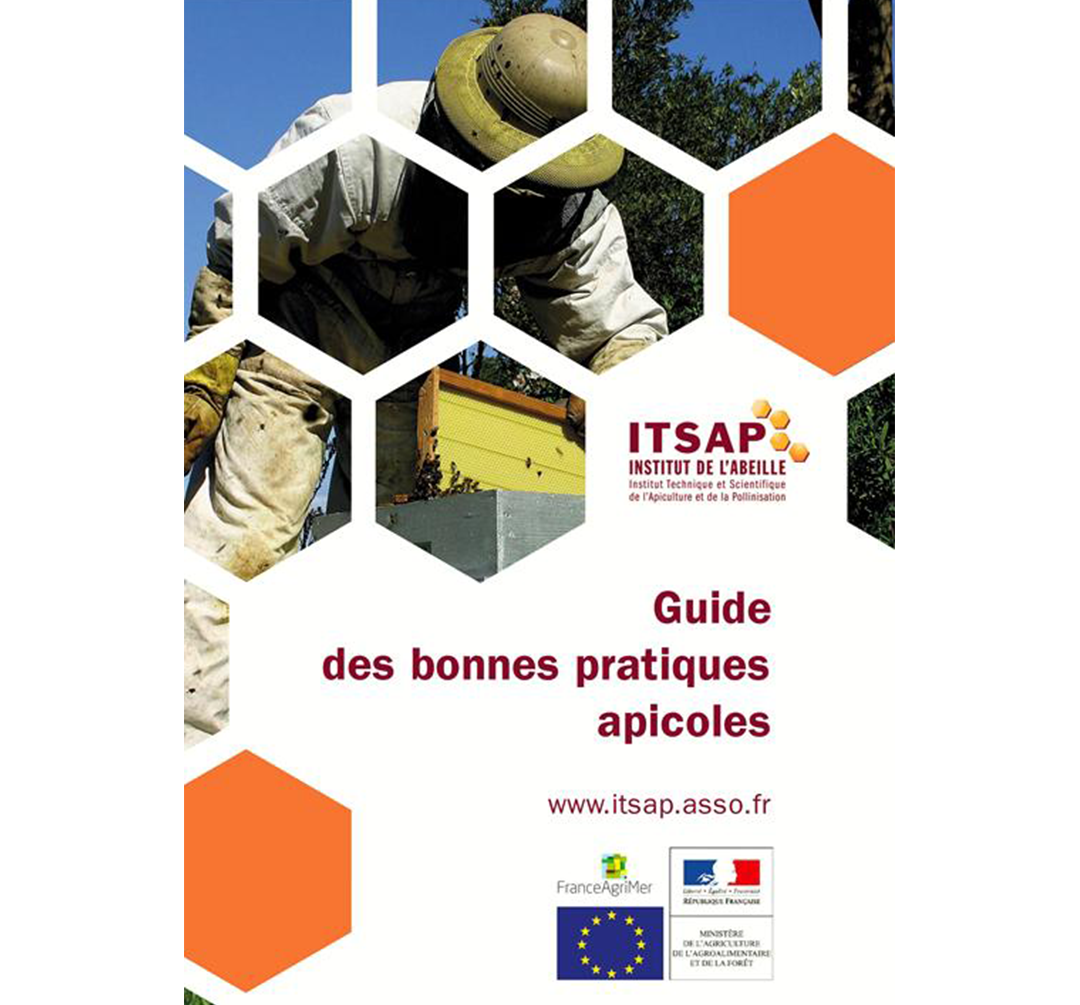 Guide bonnes pratiques itsap