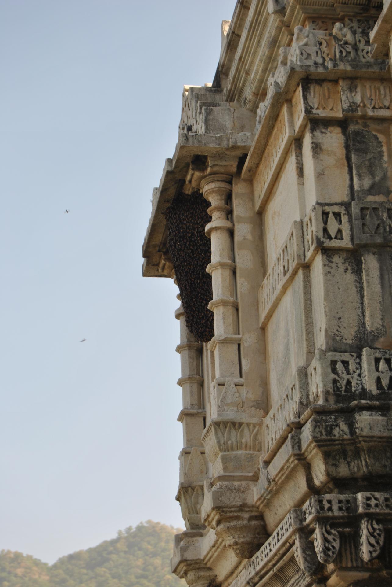 En Inde (1) sur une architecture magnifique l'essaim est posé